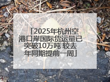 2025年杭州空港口岸国际货运量已突破10万吨 较去年同期提前一周