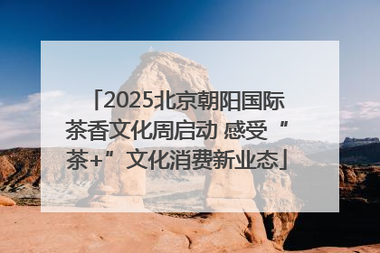 2025北京朝阳国际茶香文化周启动 感受“茶+”文化消费新业态