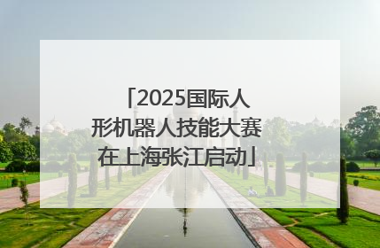 2025国际人形机器人技能大赛在上海张江启动
