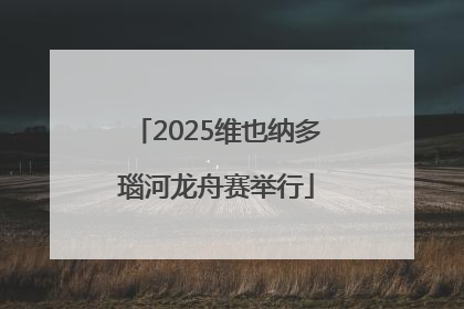 2025维也纳多瑙河龙舟赛举行