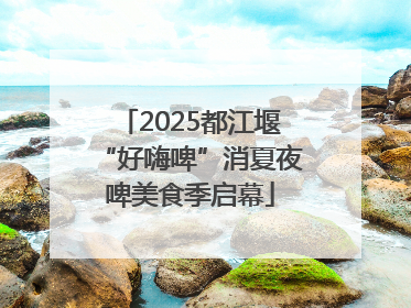 2025都江堰“好嗨啤”消夏夜啤美食季启幕