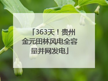 363天！贵州金元田林风电全容量并网发电