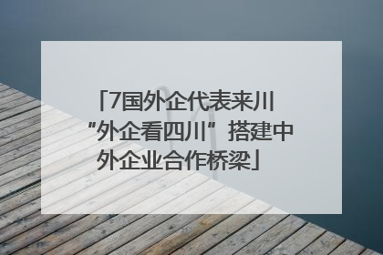 7国外企代表来川 “外企看四川”搭建中外企业合作桥梁