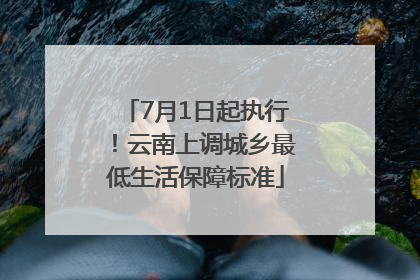 7月1日起执行！云南上调城乡最低生活保障标准