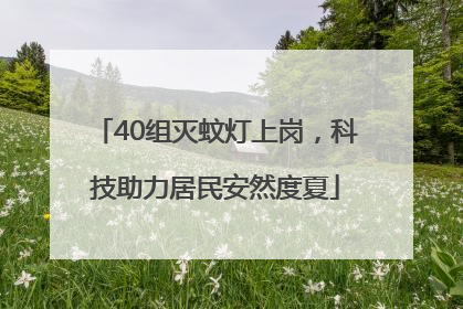 40组灭蚊灯上岗，科技助力居民安然度夏