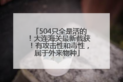504只全是活的！大连海关最新截获！有攻击性和毒性，属于外来物种
