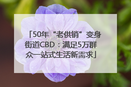 50年“老供销”变身街道CBD:满足5万群众一站式生活新需求
