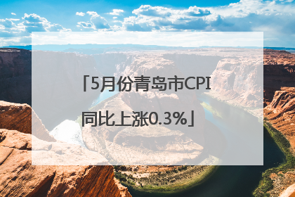 5月份青岛市CPI同比上涨0.3%