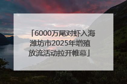 6000万尾对虾入海 潍坊市2025年增殖放流活动拉开帷幕