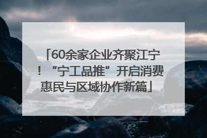 60余家企业齐聚江宁！“宁工品推”开启消费惠民与区域协作新篇