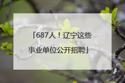 687人！辽宁这些事业单位公开招聘
