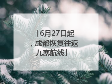 6月27日起，成都恢复往返九寨航线