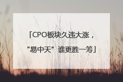 CPO板块久违大涨，“易中天”谁更胜一筹