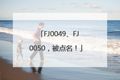 FJ0049、FJ0050，被点名！