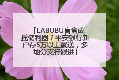 LABUBU盲盒成揽储利器？平安银行新户存5万以上就送，多地分支行跟进